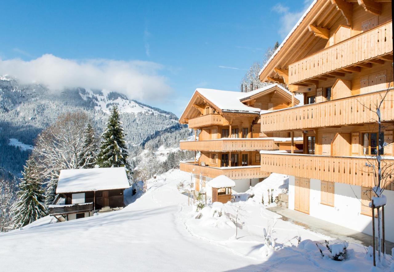 Panoramapark Soleil Chalet B Венген Екстер'єр фото