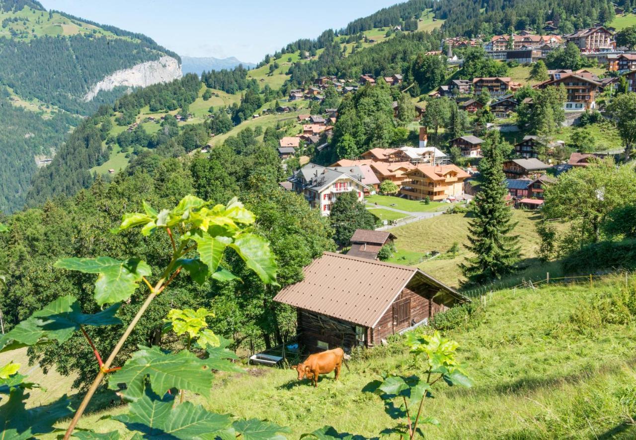 Panoramapark Soleil Chalet B Венген Екстер'єр фото